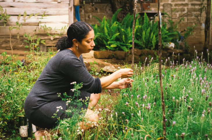 Lucy ashman tierra & lava Founder of botanical