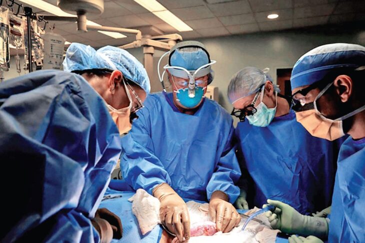 Human Kidney Transplants